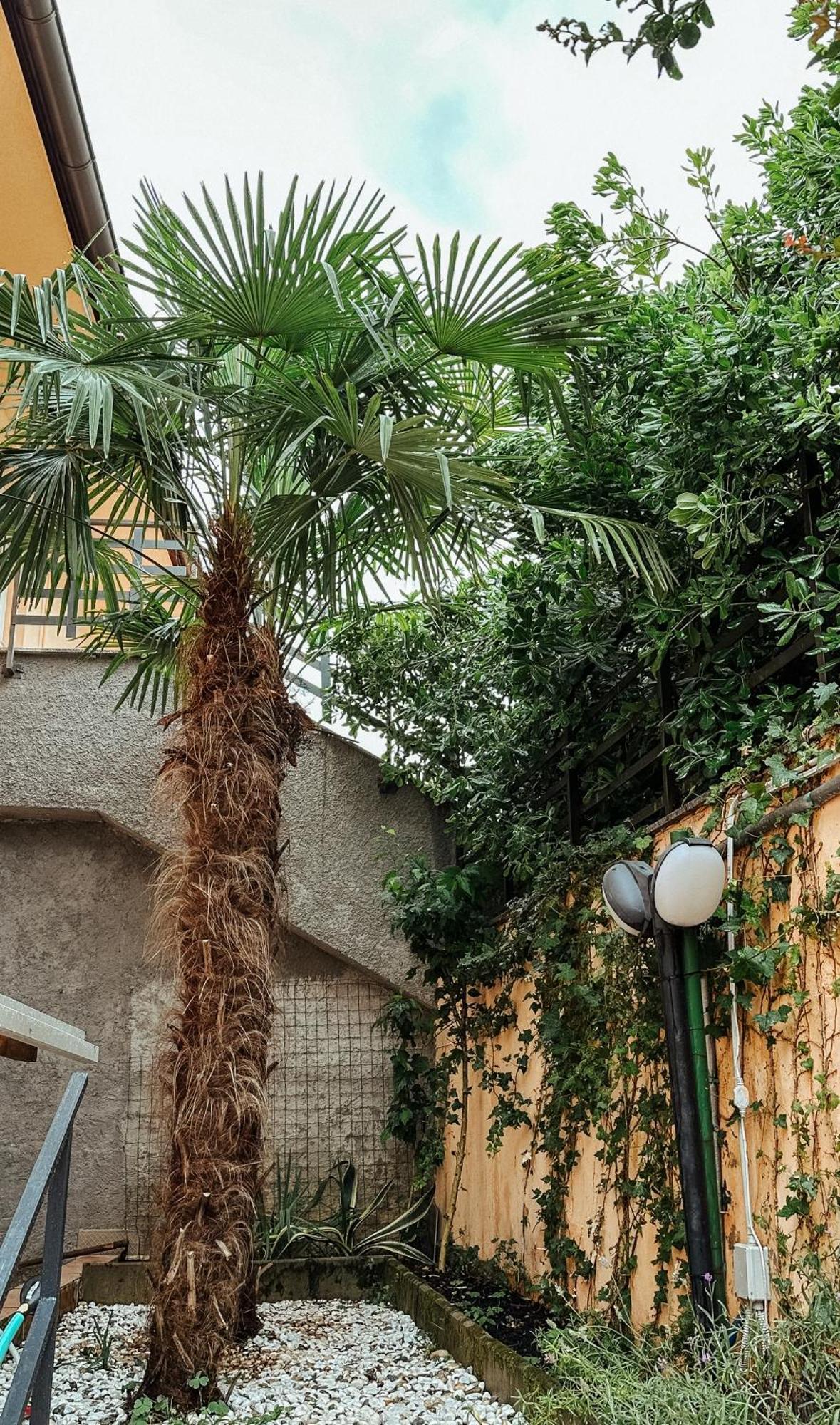 Apartmani Jelena Opatija Exteriér fotografie